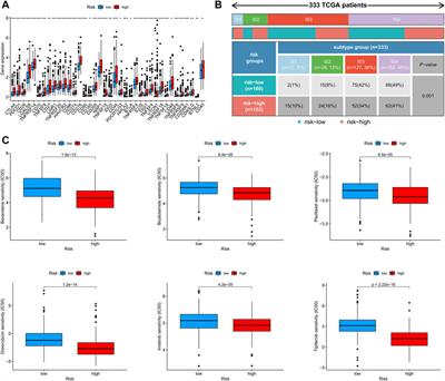 Development and validation of a novel cellular senescence-related prognostic signature for predicting the survival and immune landscape in hepatocellular carcinoma